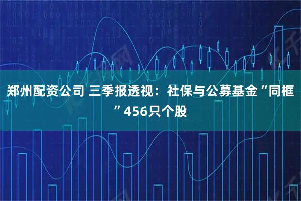 郑州配资公司 三季报透视:社保与公募基金“同框”456只个股