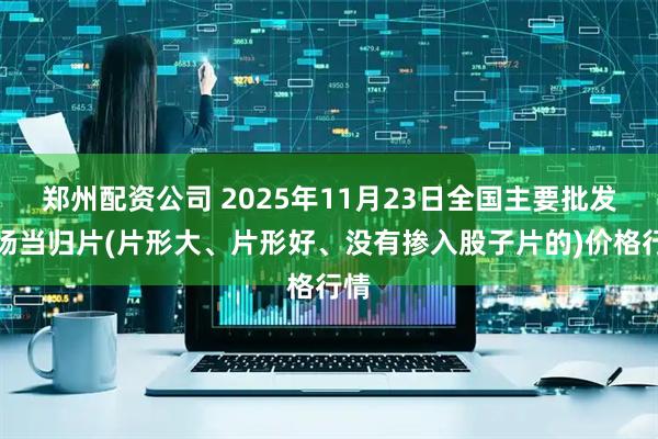 郑州配资公司 2025年11月23日全国主要批发市场当归片(片形大、片形好、没有掺入股子片的)价格行情